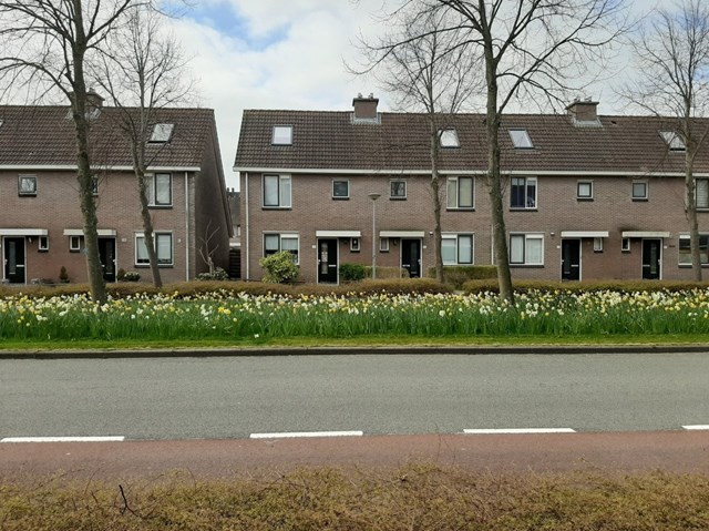 Foto 1: Alkmaar - Laan van Keulen - Foto 1