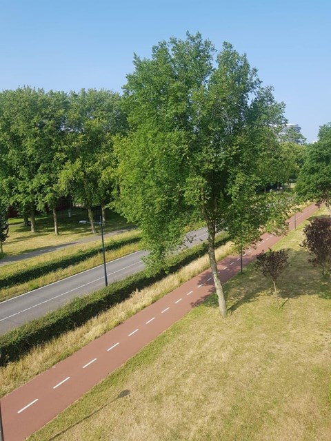 Foto 7: Haarlem - Robert Kochlaan - Foto 7