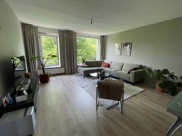 Foto 2: Groningen - Paramaribostraat - Foto 2