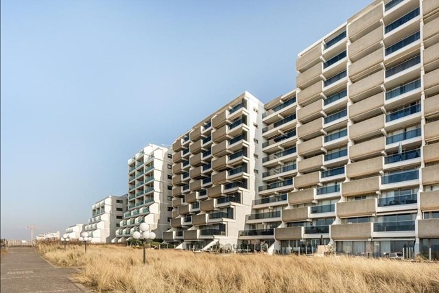 Foto 1: Noordwijk (ZH) - Duinroos - Foto 1