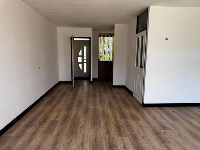 Foto 2: Zwaag - Hondsdraf - Foto 2