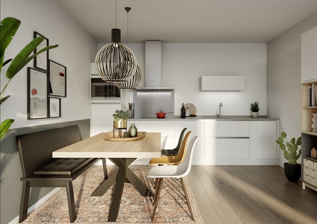 Foto 3: Haarlem - Meester Cornelisstraat - Foto 3