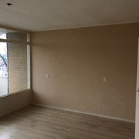 Renkum, Ketsheuvel, zelfstandige studio - foto 5