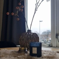 Utrecht, Vleutenseweg, 2-kamer appartement - foto 4