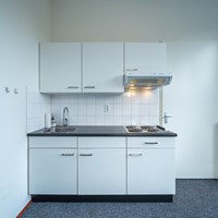 Nijmegen, Eerste Oude Heselaan, 2-kamer appartement - foto 5