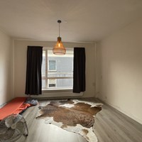 Arnhem, Arke Noachstraat, zelfstandige studio - foto 4