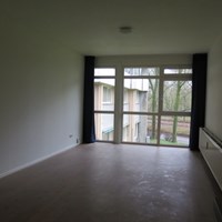 Groningen, Populierenlaan, zelfstandige studio - foto 4