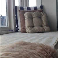 Utrecht, Vleutenseweg, bovenwoning - foto 6