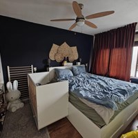 Eindhoven, Boschdijk, 2-kamer appartement - foto 4