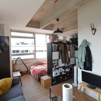 Zwolle, Burgemeester Drijbersingel, zelfstandige studio - foto 4