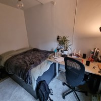 Groningen, Waldeck Pyrmontstraat, kamer - foto 6