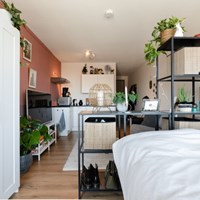 Amsterdam, Elizabeth Cady Stantonplein, zelfstandige studio - foto 6