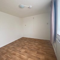 Arnhem, Onstweddestraat, kamer - foto 4