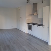 Arnhem, Willem van Kleeflaan, 3-kamer appartement - foto 4