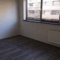 Tilburg, Pijnboomstraat, zelfstandige studio - foto 4