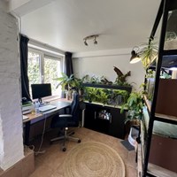 Zwolle, Lindestraat, 2-kamer appartement - foto 5