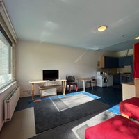 Eindhoven, Aroldo, zelfstandige studio - foto 4