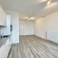 Maastricht, Franciscus Romanusweg, zelfstandige studio - foto 4
