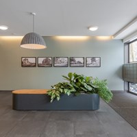 Amstelveen, Nicolaas Tulplaan, 3-kamer appartement - foto 4