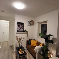 Utrecht, Nicolaas Ruychaverstraat, semi zelfstandige studio - foto 6