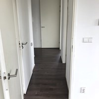 Arnhem, Mooieweg, 3-kamer appartement - foto 6
