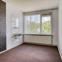 Tilburg, Europalaan, 4-kamer appartement - foto 6