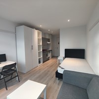 Eindhoven, Boschdijk, kamer - foto 4