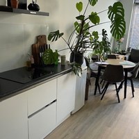 Tilburg, Poststraat, 2-kamer appartement - foto 4