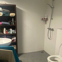 Tilburg, Lovensestraat, 2-kamer appartement - foto 6
