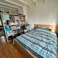 Tilburg, Ringbaan Oost, kamer - foto 4
