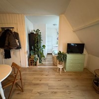 Breda, Teteringenstraat, semi zelfstandige studio - foto 4