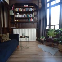 Den Haag, Anna Paulownastraat, 2-kamer appartement - foto 4