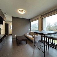 Oosterhout (NB), Vrachelsedijk, zelfstandige studio - foto 4