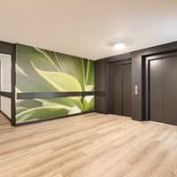 Eindhoven, Pastoor Sickingstraat, 4-kamer appartement - foto 6