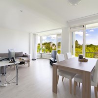 Amsterdam, Van Boshuizenstraat, hoekappartement - foto 4