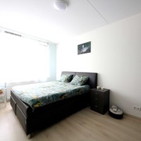 Voorhout, Buxushaag, 3-kamer appartement - foto 6