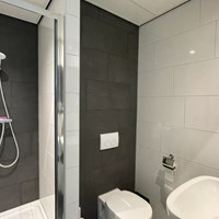 Houten, Randhoeve, zelfstandige studio - foto 5