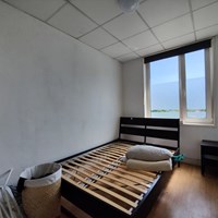 Eindhoven, Hastelweg, 2-kamer appartement - foto 6