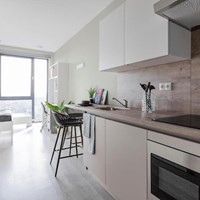 Groningen, Hoogeweg, zelfstandige studio - foto 4