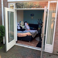 Zwolle, Westenholterweg, 2-kamer appartement - foto 5