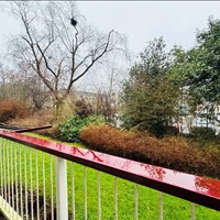 Rijswijk (ZH), Steenlaan, 4-kamer appartement - foto 4