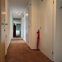 Sassenheim, Sassemerhof, 3-kamer appartement - foto 6