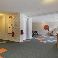 Zwolle, Achter de Hoven, 2-kamer appartement - foto 5