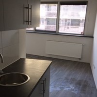 Tilburg, Pijnboomstraat, zelfstandige studio - foto 5