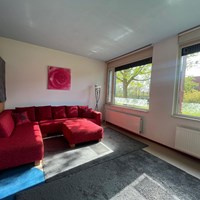 Eindhoven, Aroldo, zelfstandige studio - foto 5