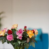 Den Haag, Vlaskamp, 4-kamer appartement - foto 6