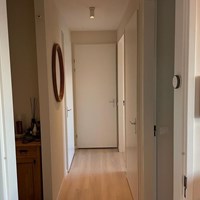 Tilburg, Galjoenstraat, 2-kamer appartement - foto 6