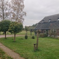 Voorst (Gem. Voorst), Nijenbeekseweg, woonboerderij - foto 4