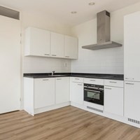 Den Haag, Loevesteinlaan, portiekflat - foto 4