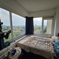 Groningen, Populierenlaan, zelfstandige studio - foto 5
